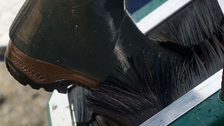 Portfolio Image for Wellie Washer